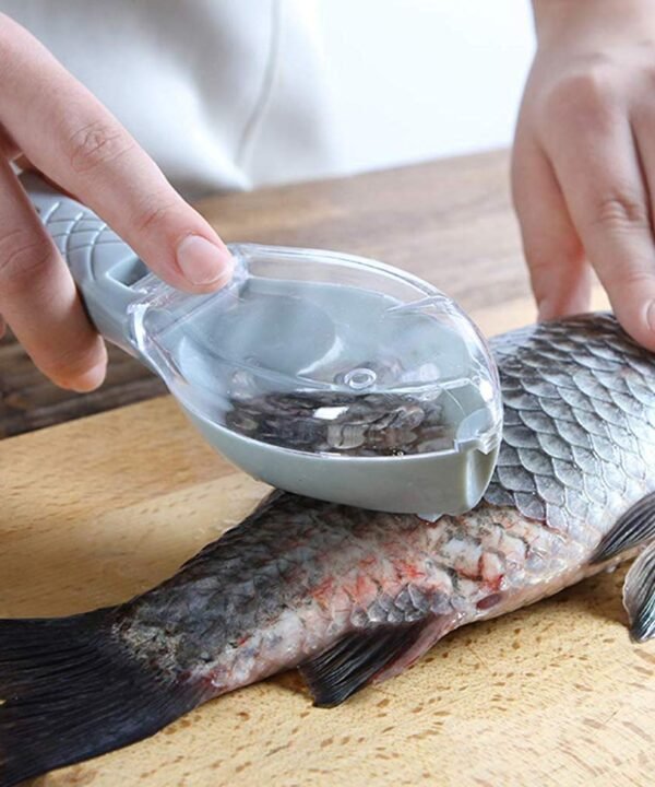 Premium Stainless Steel Fish Scale Remover
