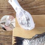 Premium Stainless Steel Fish Scale Remover | MySmartiee