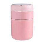 2-Layer Stainless Steel Lunch Box, 710ml Insulated Food Container for Hot & Cold Food