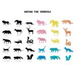 Wild Animal Magic Capsules Toy - 15 Pcs Grow in Water Surprise Toy Gift for Kids | Keyword Must - Image 3