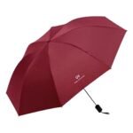 3 Fold Umbrella