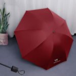 3 Fold Umbrella - Image 2