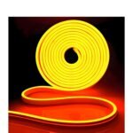 Neon Light Orange 5m with Adaptor
